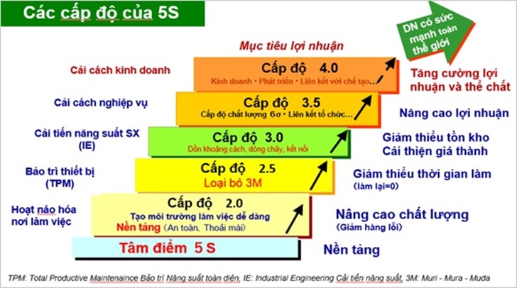 Nhận diện những rào cản khiến doanh nghiệp Việt Nam thất bại trong áp dụng 5S