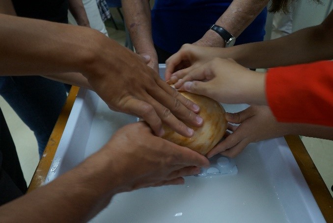 Picture4